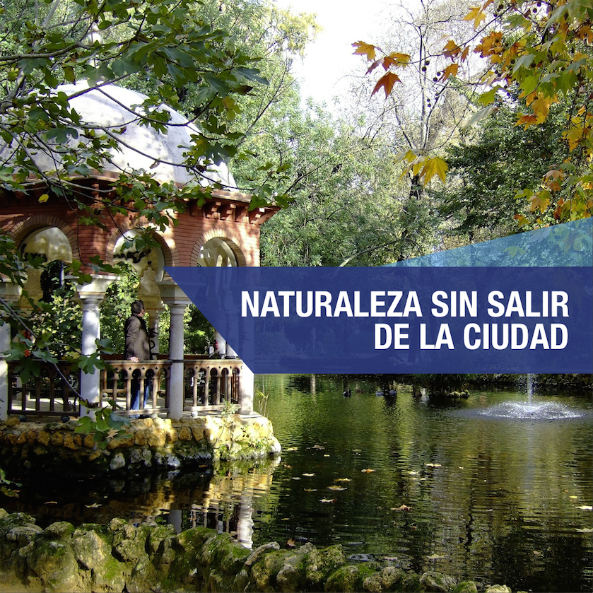 Los 7 parques urbanos que no te puedes perder