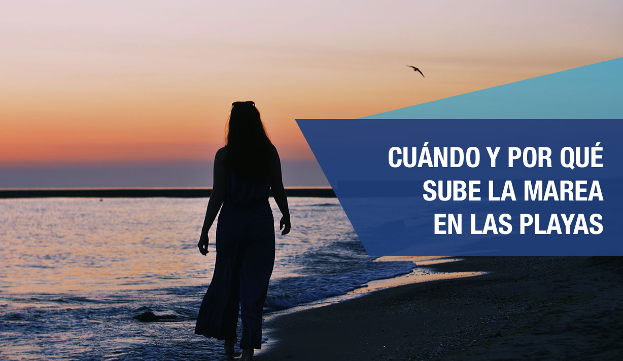 Por qué sube la marea en las playas - ALSA.es|BlogALSA