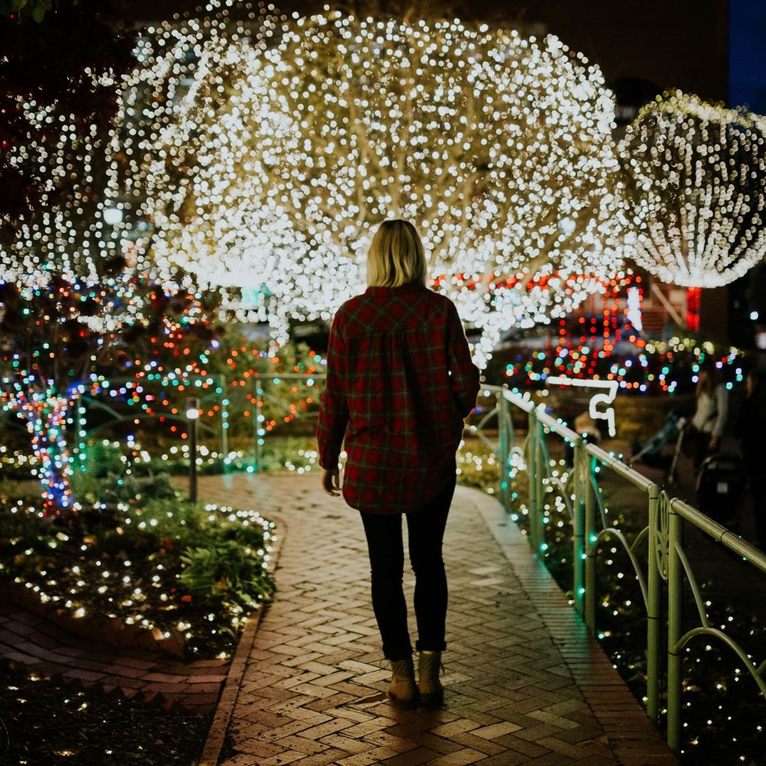 Christmas Garden (Jardín de Navidad) en el Jardín Botánico de Madrid
